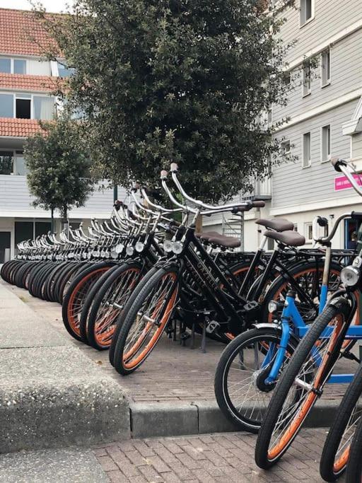 Welkom In Dekreek V59, Dem Freundlichen Ferienhaus Bruinisse Dış mekan fotoğraf